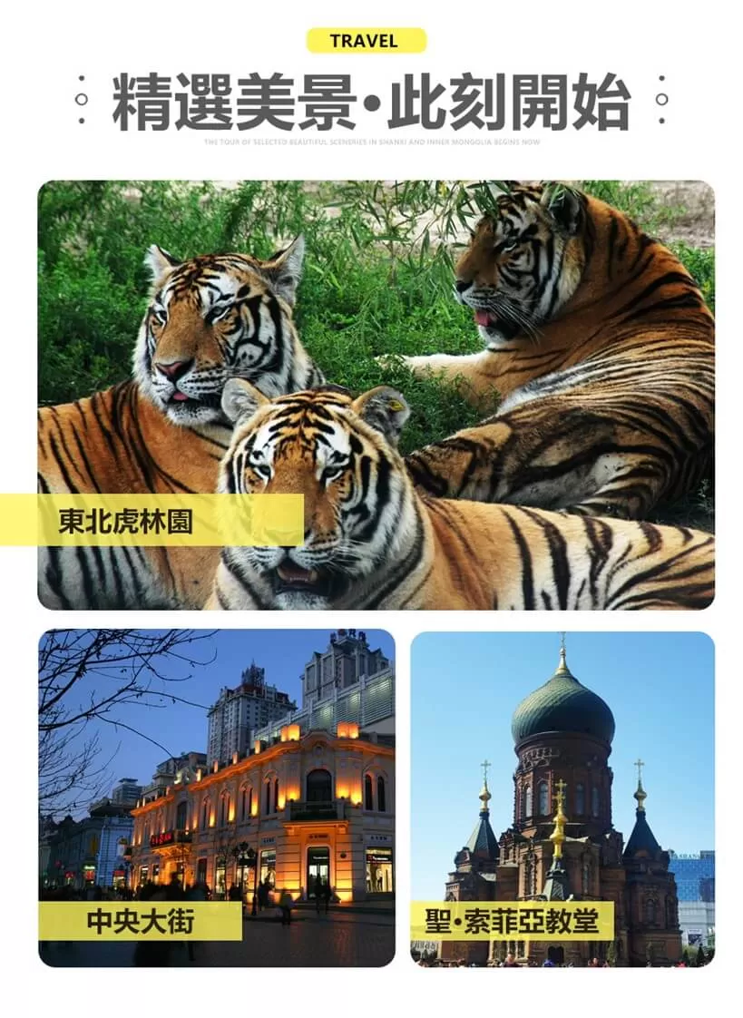 Full Image